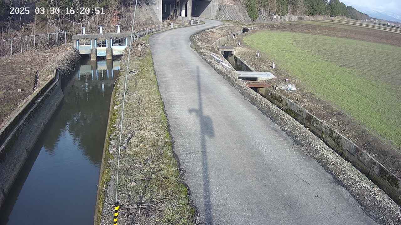 area11-20250330162052.jpg