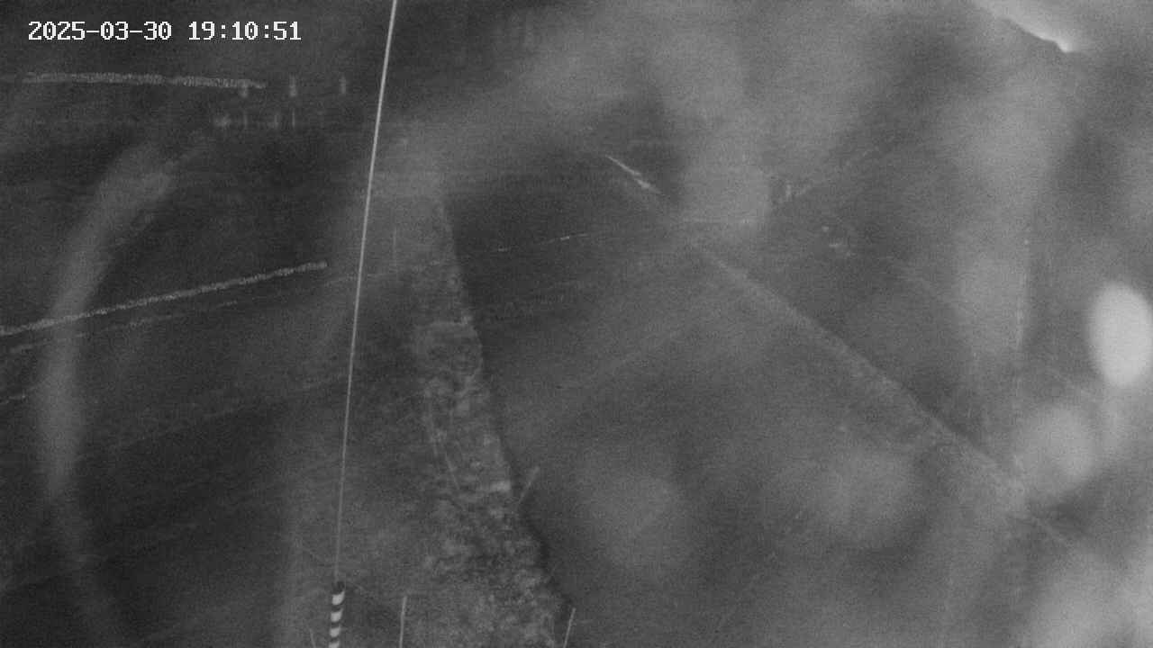 area11-20250330191053.jpg