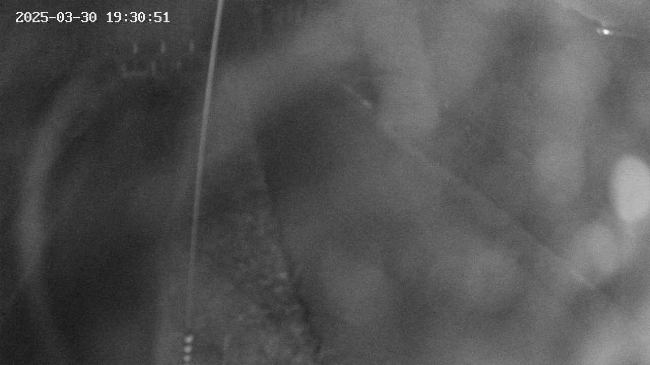 area11-20250330193053.jpg