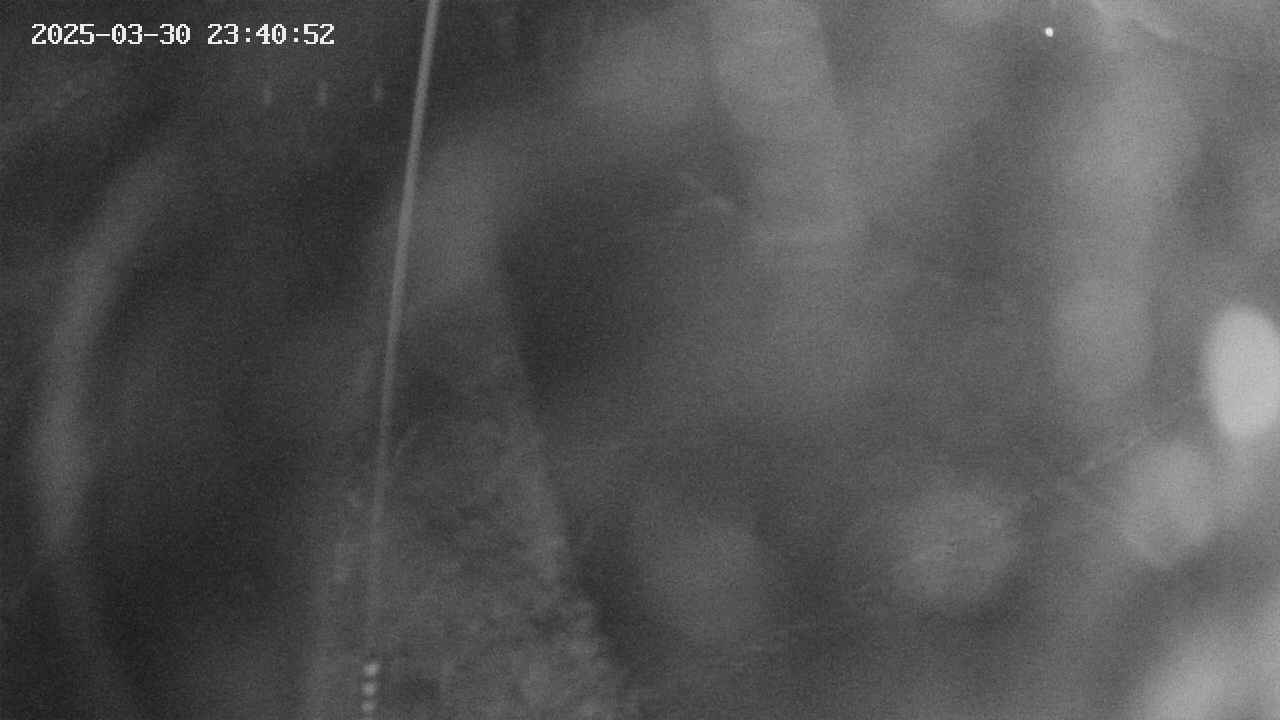 area11-20250330234053.jpg