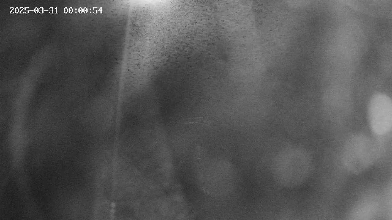 area11-20250331000055.jpg