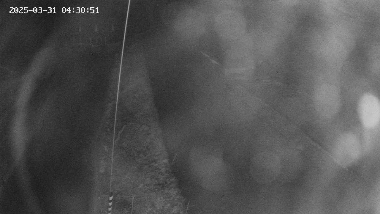 area11-20250331043051.jpg