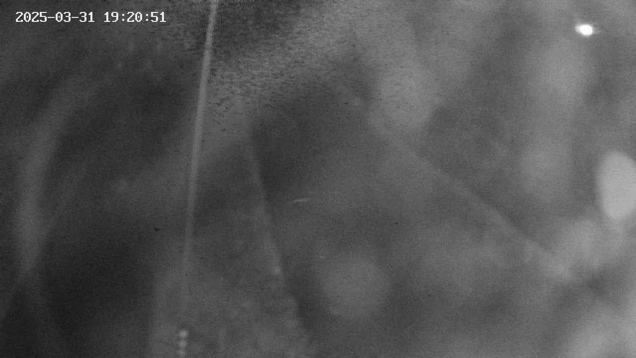 area11-20250331192052.jpg