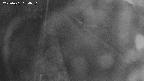 area11-20250401184051.jpg