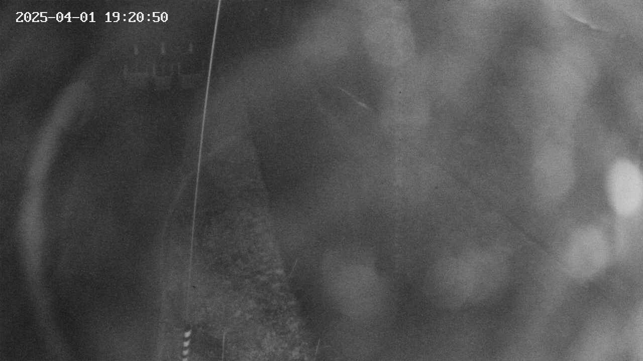 area11-20250401192052.jpg