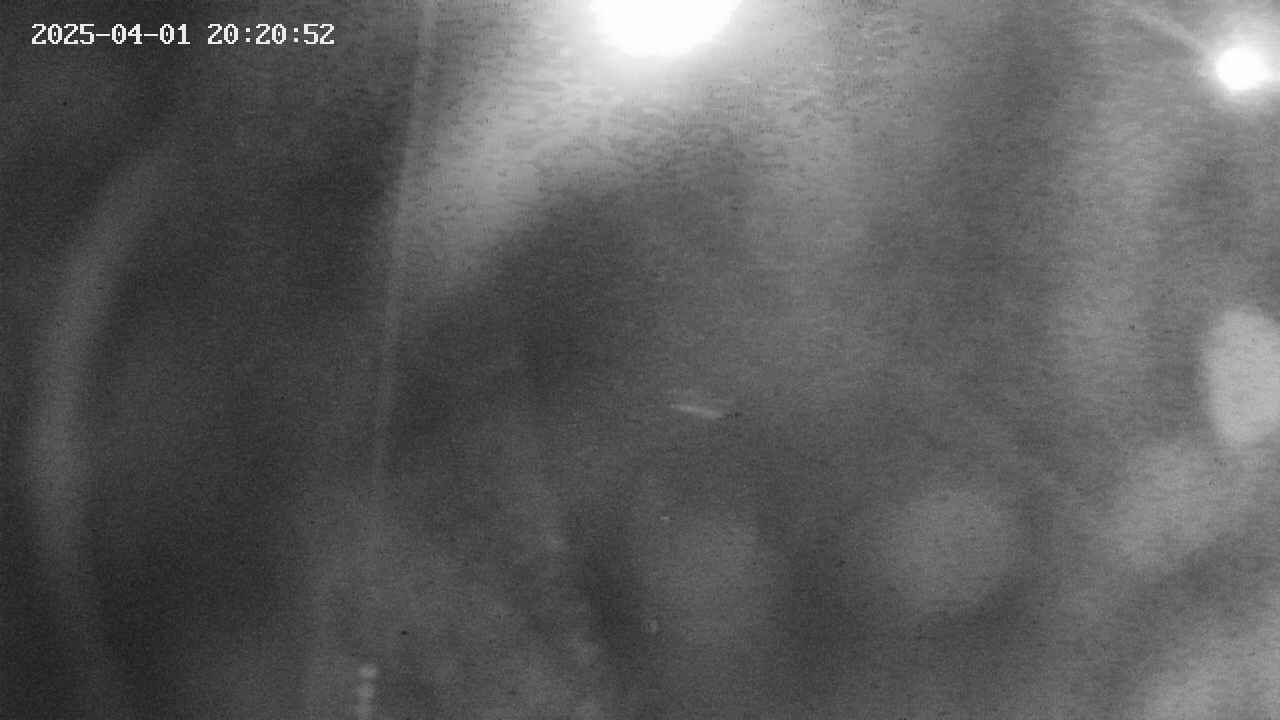 area11-20250401202053.jpg