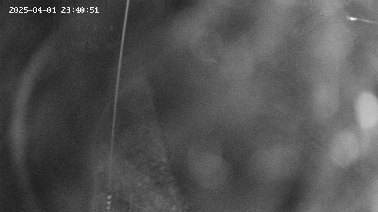 area11-20250401234053.jpg