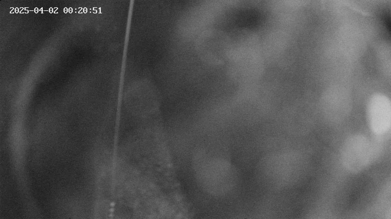 area11-20250402002053.jpg