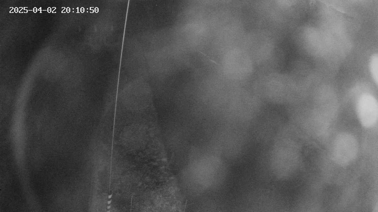 area11-20250402201051.jpg