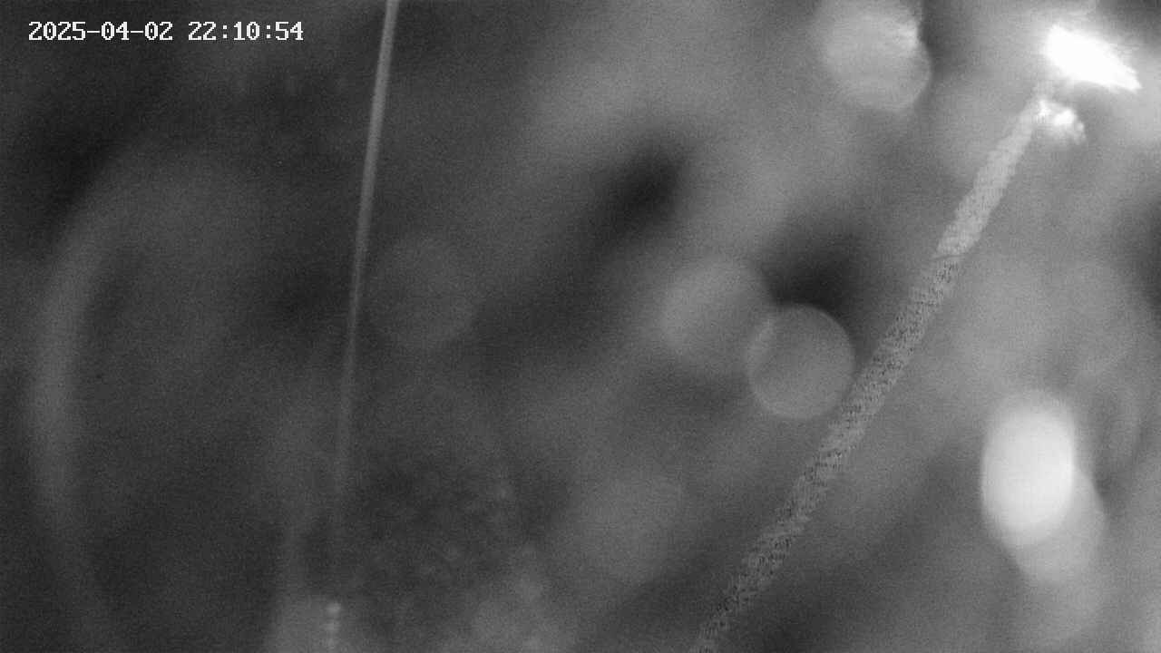area11-20250402221056.jpg