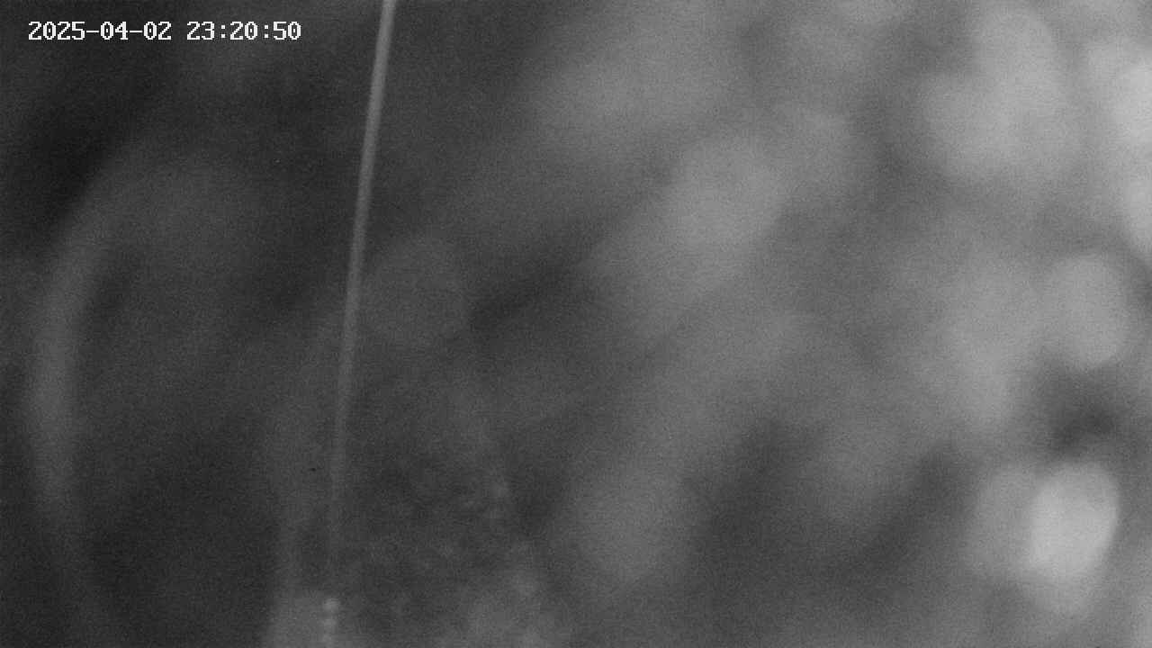 area11-20250402232051.jpg