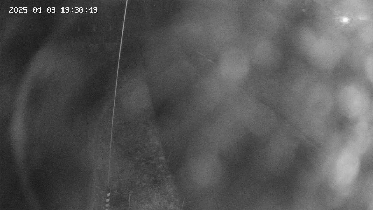 area11-20250403193050.jpg