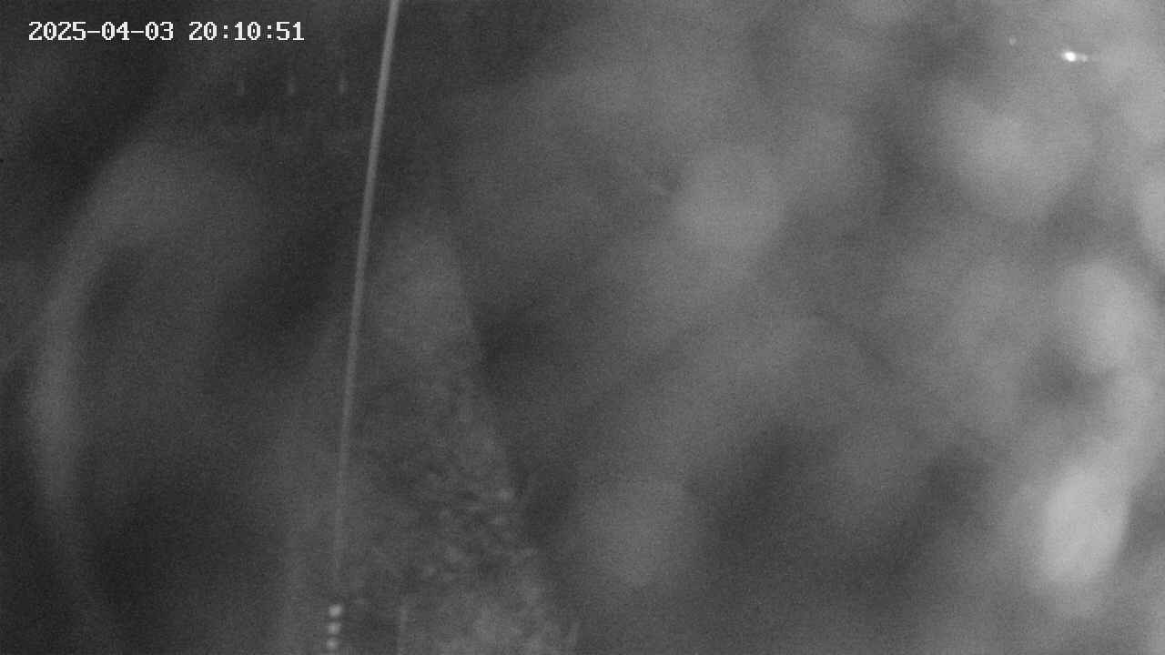 area11-20250403201053.jpg