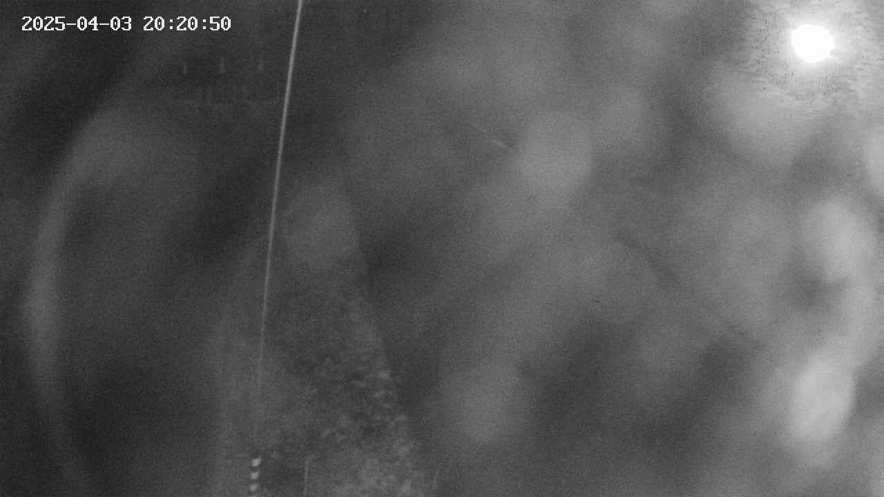 area11-20250403202052.jpg