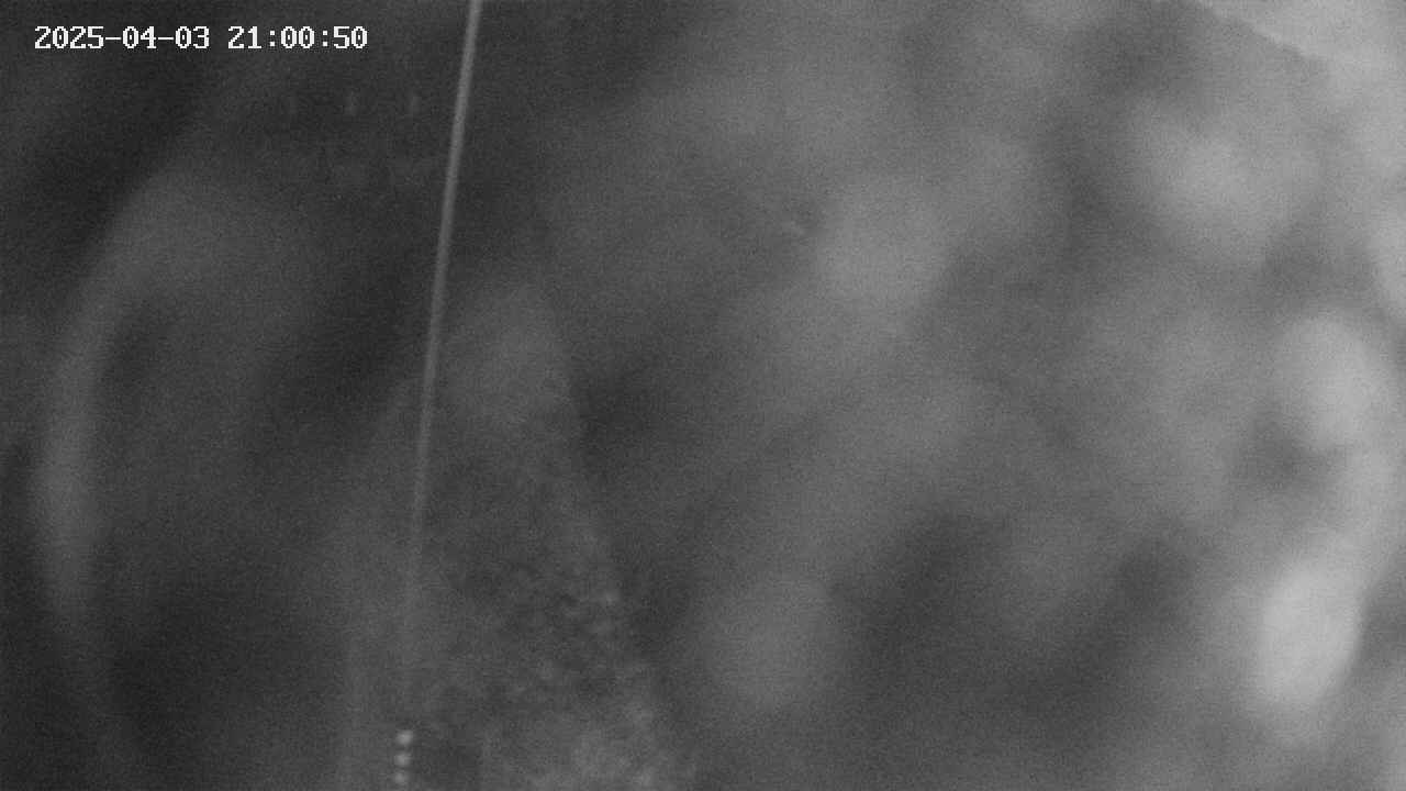 area11-20250403210052.jpg