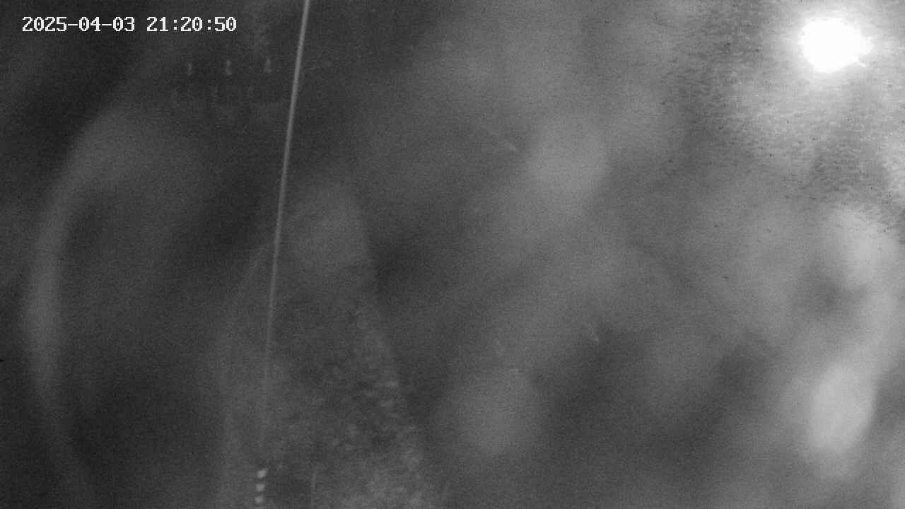 area11-20250403212051.jpg