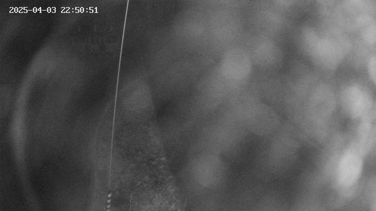 area11-20250403225053.jpg