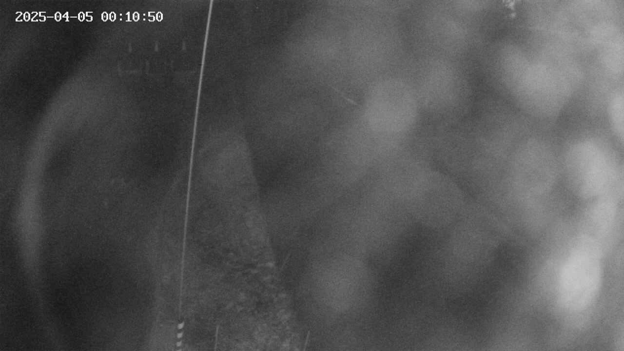 area11-20250405001051.jpg