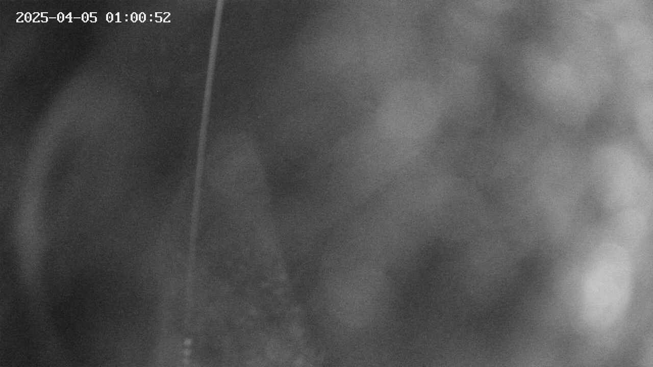 area11-20250405010053.jpg