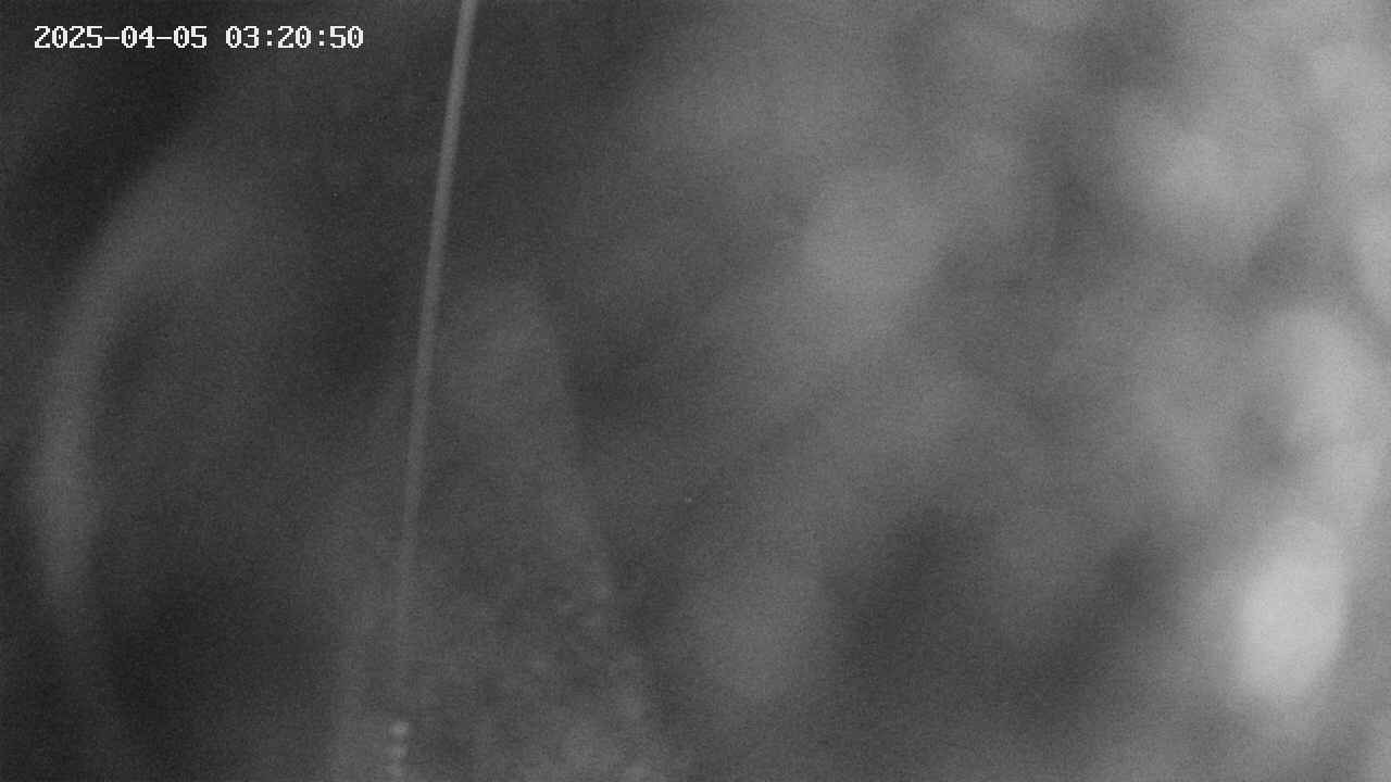 area11-20250405032050.jpg