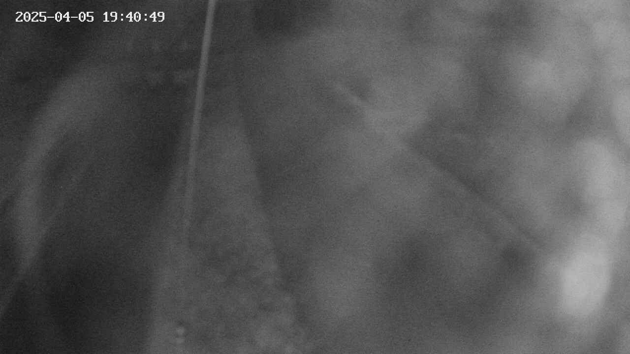 area11-20250405194050.jpg