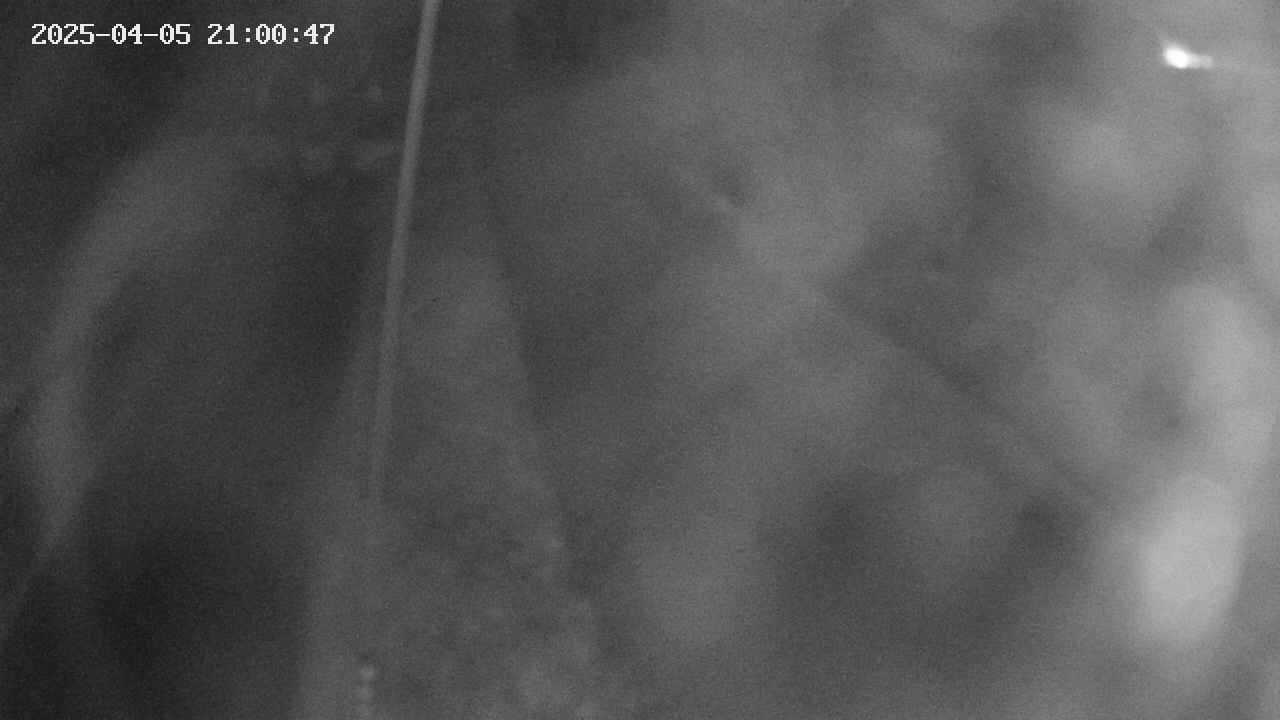 area11-20250405210049.jpg