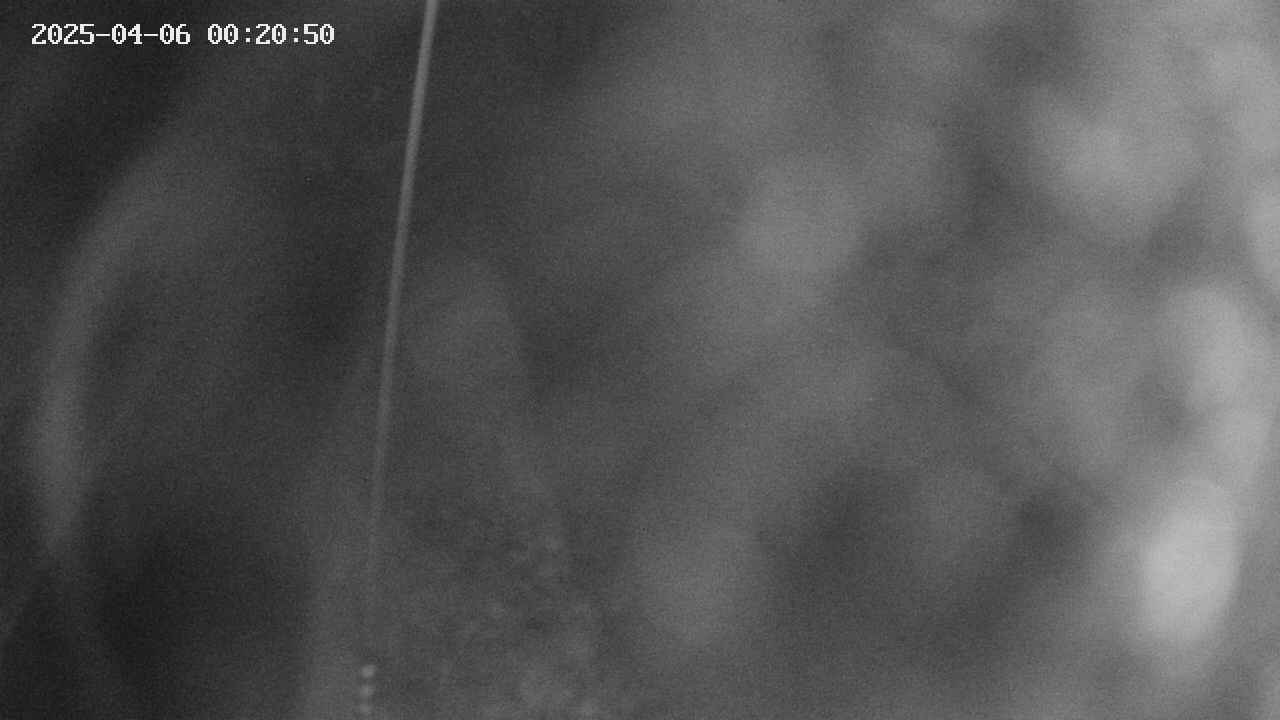 area11-20250406002052.jpg