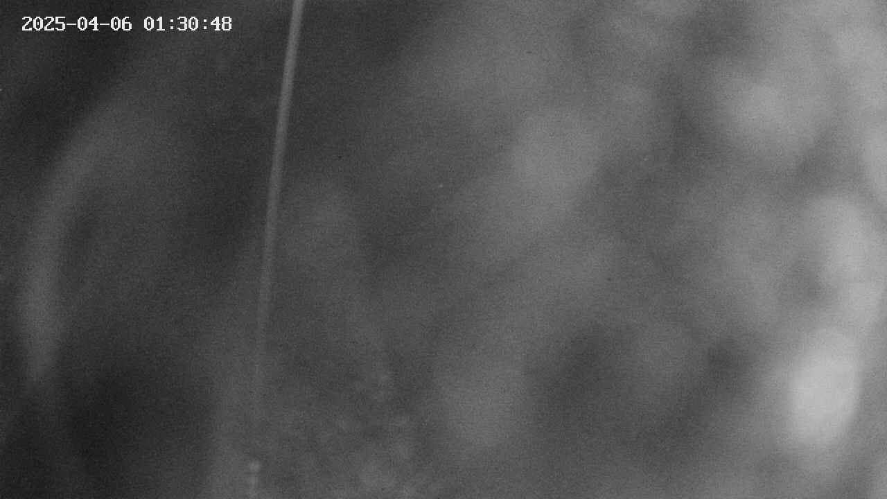 area11-20250406013050.jpg