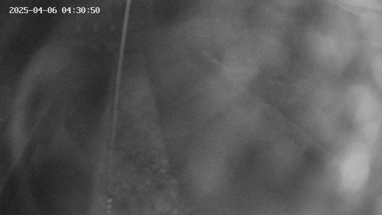 area11-20250406043050.jpg