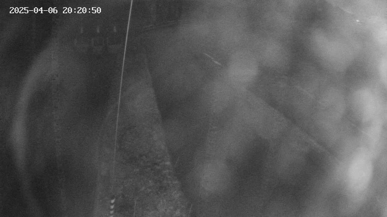 area11-20250406202052.jpg
