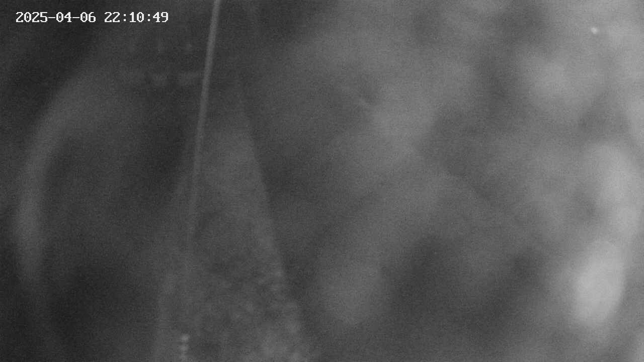 area11-20250406221051.jpg