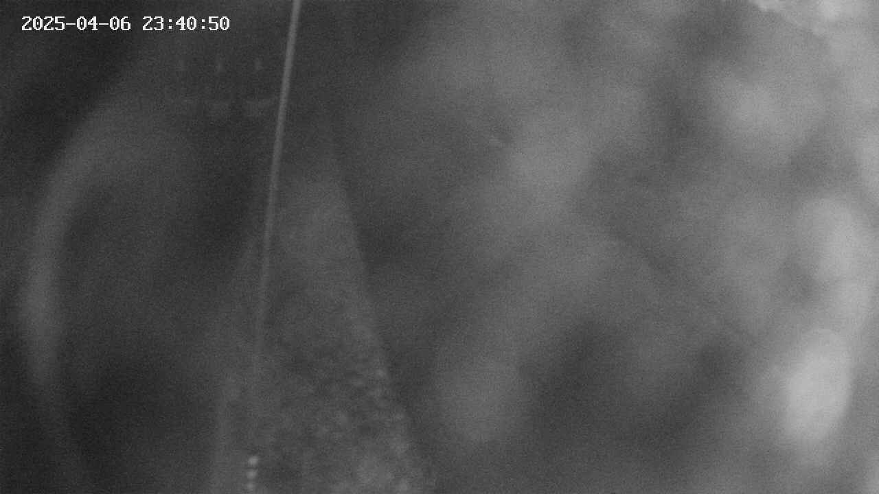area11-20250406234052.jpg
