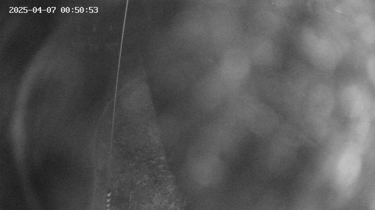 area11-20250407005054.jpg