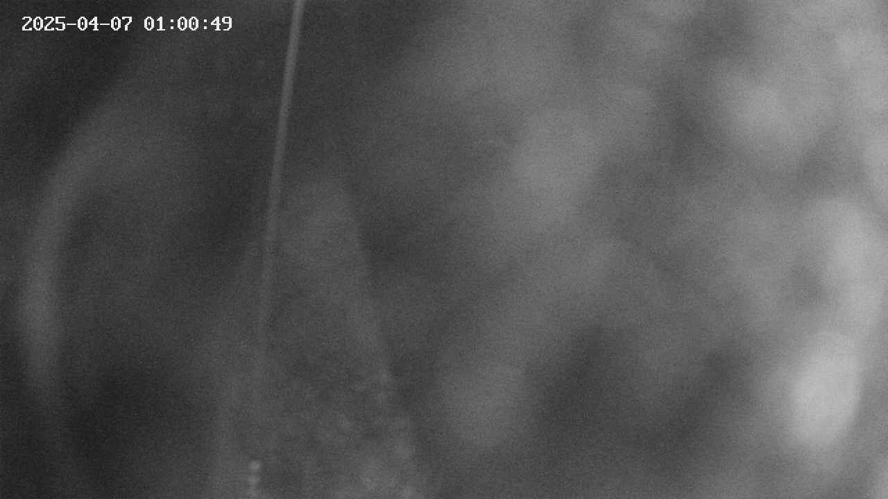 area11-20250407010050.jpg