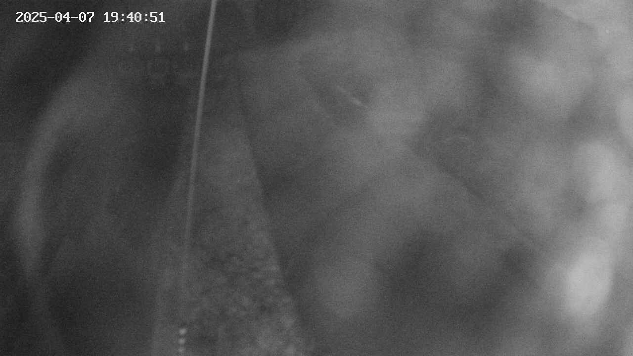 area11-20250407194052.jpg