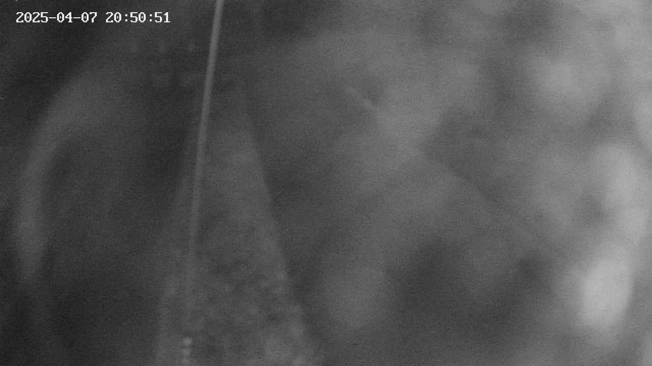 area11-20250407205052.jpg