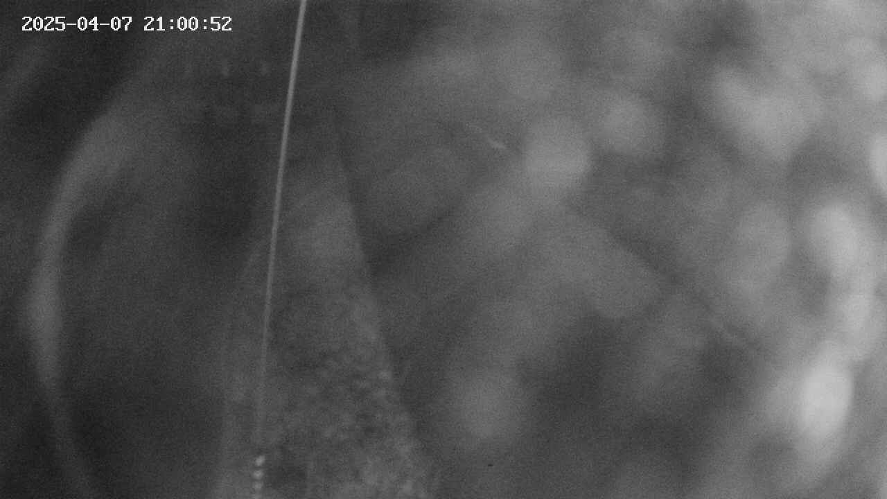 area11-20250407210053.jpg