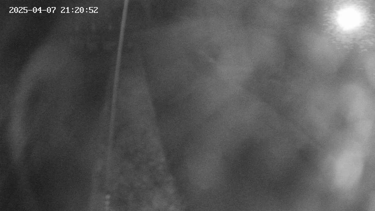 area11-20250407212053.jpg