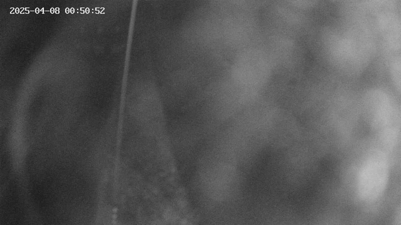area11-20250408005053.jpg