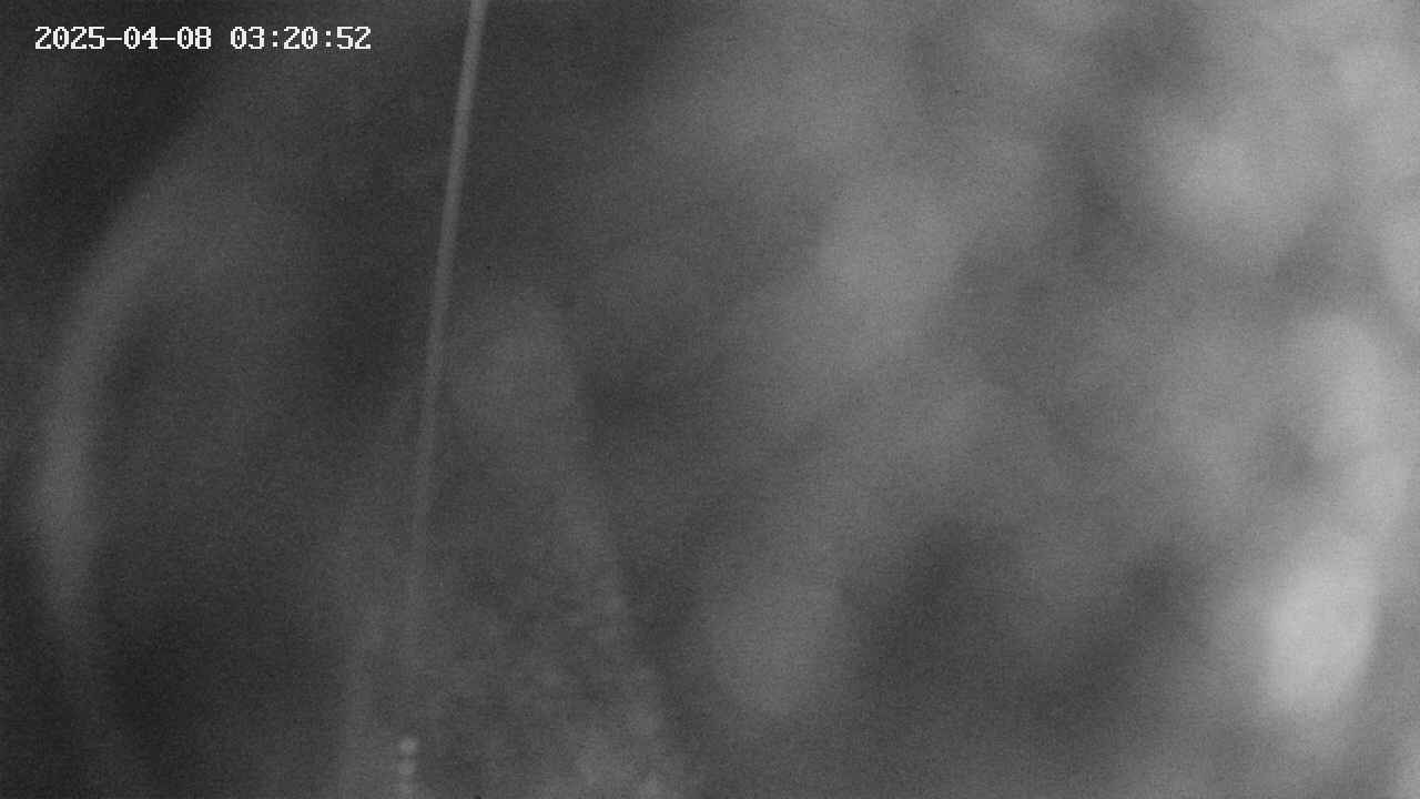area11-20250408032052.jpg