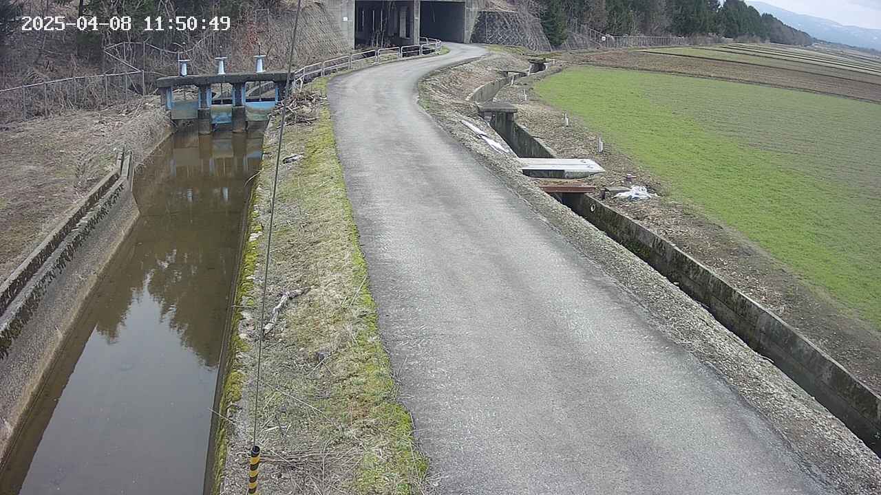 area11-20250408115051.jpg