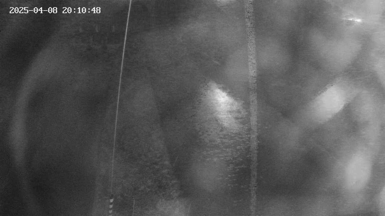 area11-20250408201050.jpg