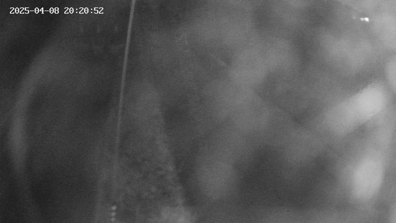area11-20250408202053.jpg