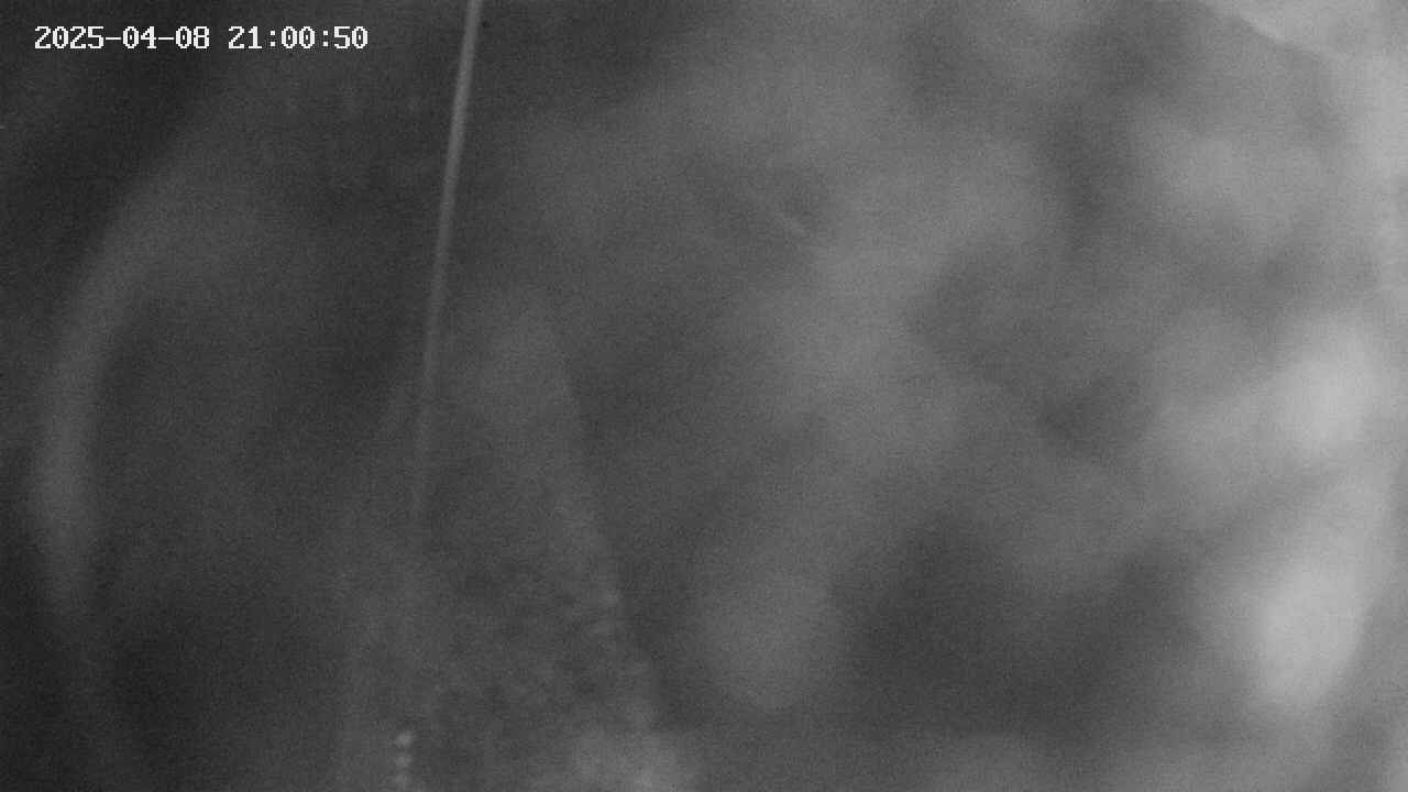 area11-20250408210052.jpg