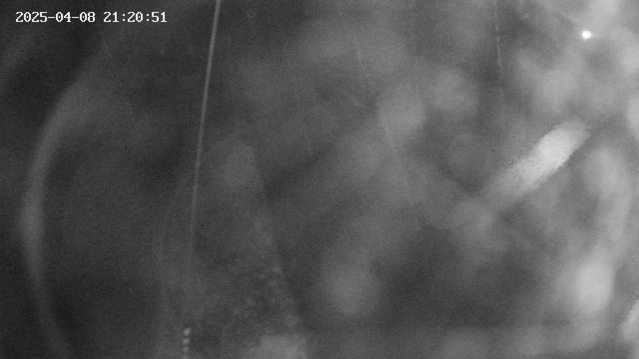 area11-20250408212053.jpg