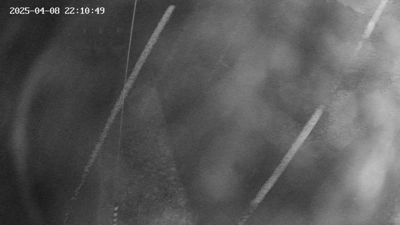 area11-20250408221051.jpg