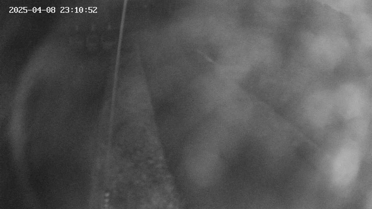 area11-20250408231054.jpg