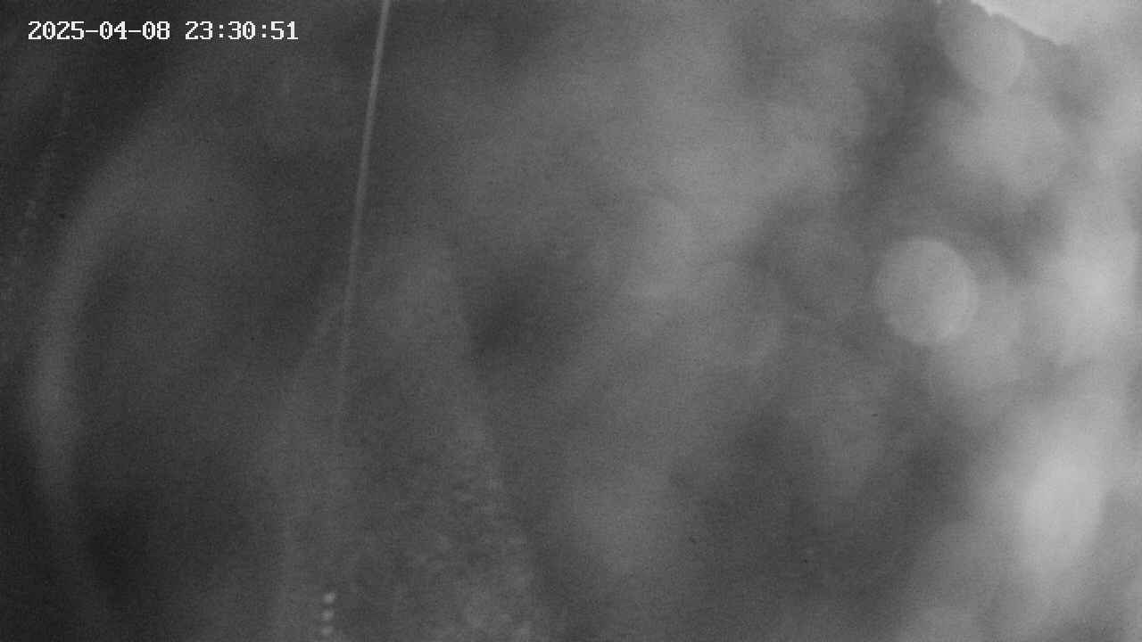 area11-20250408233053.jpg