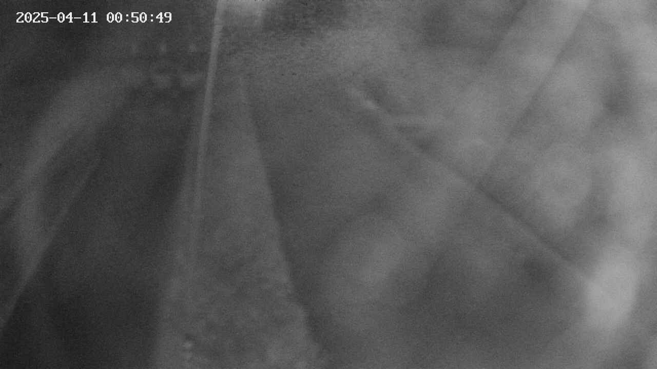 area11-20250411005050.jpg