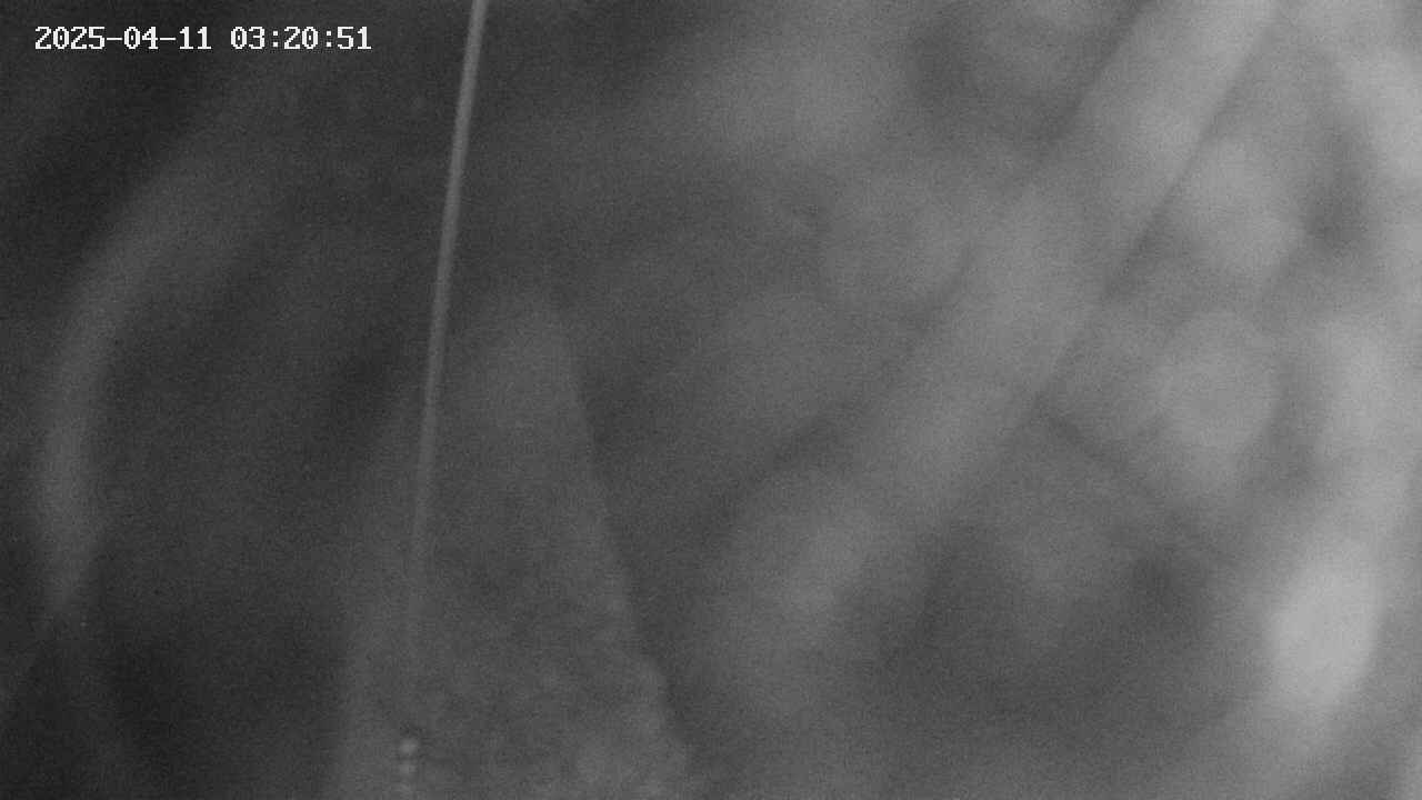 area11-20250411032051.jpg